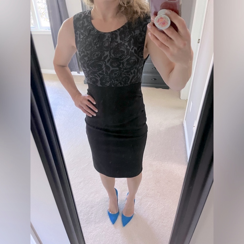 Anthropologie Gorgeous Fitted Dress